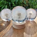 Dandelion Accent Light | Handmade Resin Craft with Real Dandelion Inside - Flower Sphere Lamp, Home Décor Night Light Vanity Living Room