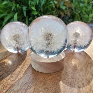 Dandelion Accent Light | Handmade Resin Craft with Real Dandelion Inside - Flower Sphere Lamp, Home Décor Night Light Vanity Living Room