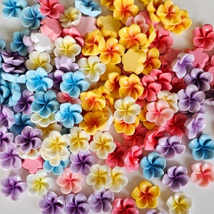 10/30 Pcs  Mixed Color Flower Plumeria Resin Flatback Cabochon  25mm #CAB165