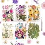 Dried Pressed Flowers for Resin Mold Dry Flower Real Leaves Bulk with Tweezer Natural Herbs Kit for Scrapbooking DIY Art Craftsandle Jewelry