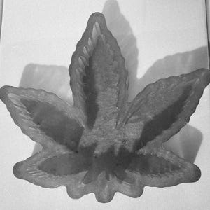 Create Your Own Marijuana Leaf